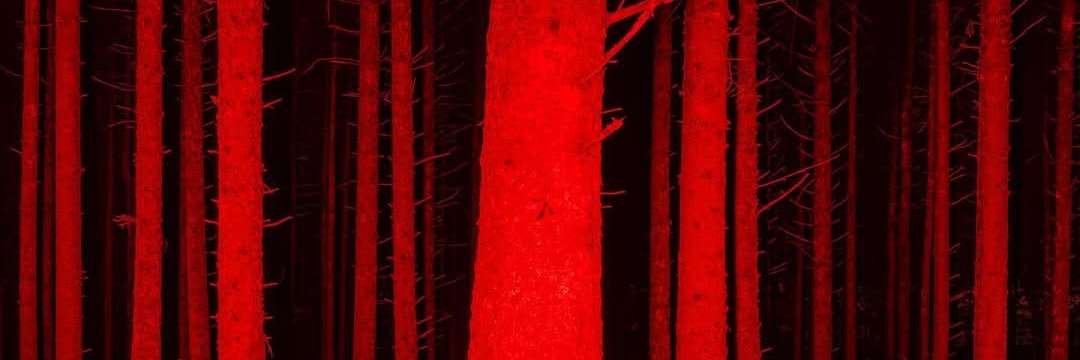 Wondering Demon banner