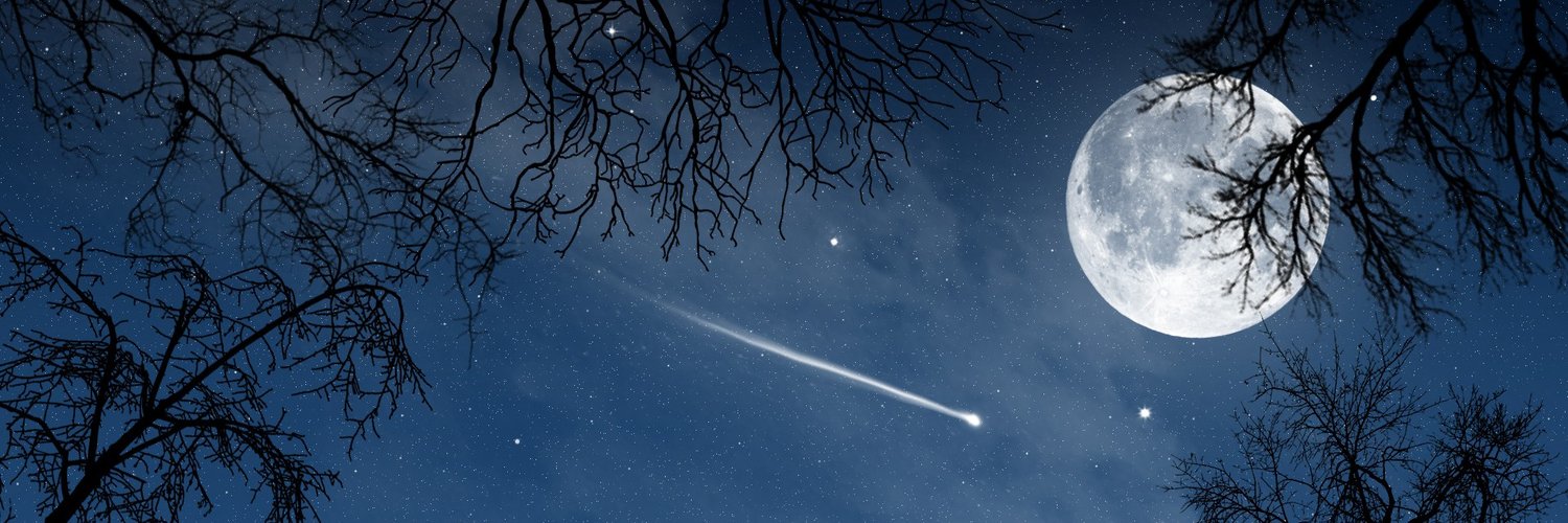 ᕮᖇIK SIᑎ ᑕ banner