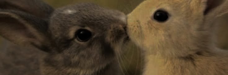 Boa ☆ William Afton Kisser banner