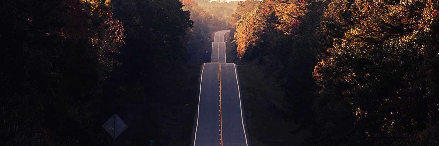 Elizabeth White banner