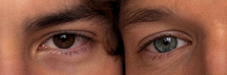 sarita❦ banner