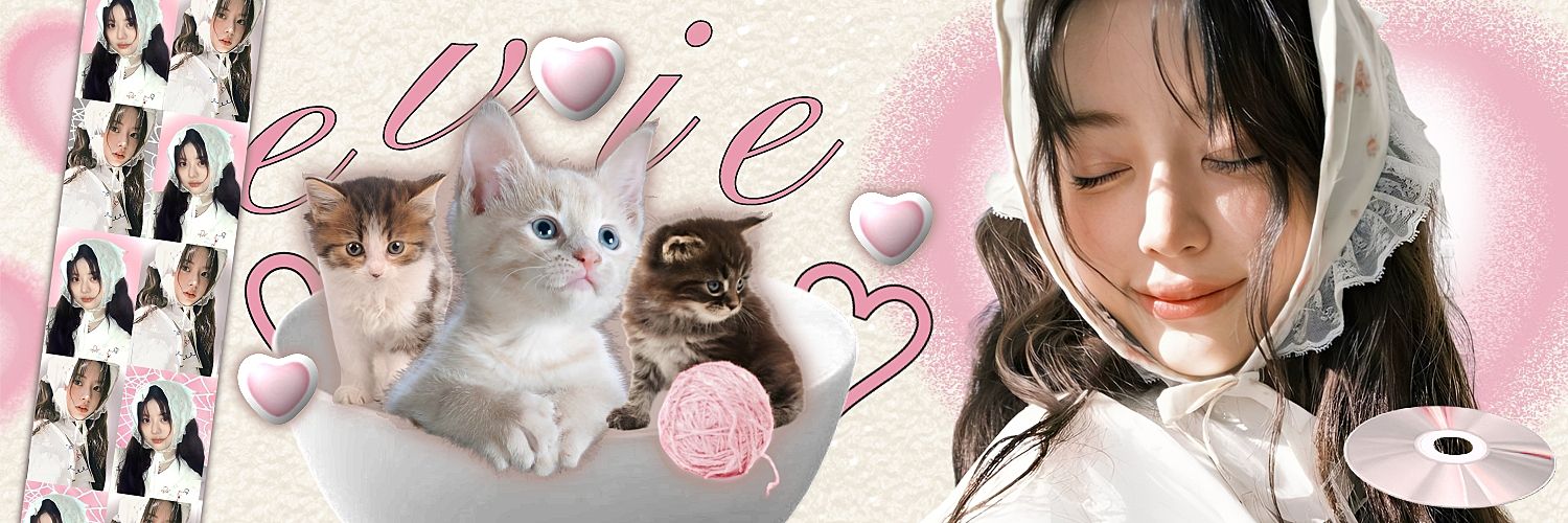 evie | 500+ testi joktug banner