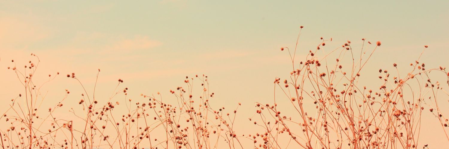 SthefiCastillo's profile banner image
