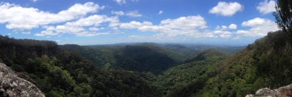 HDealla Profile Banner