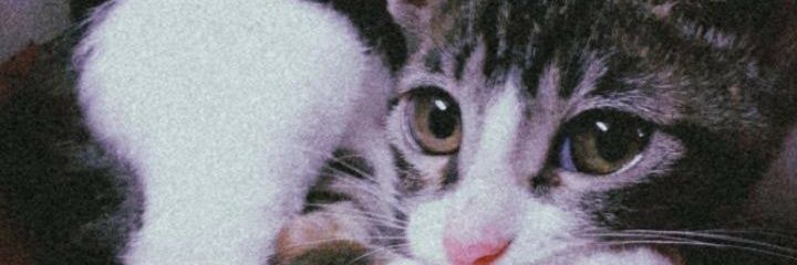 _Bindayy's profile banner image