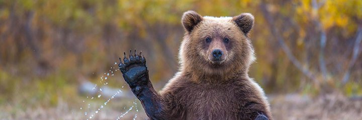ArthurBvrl's profile banner image