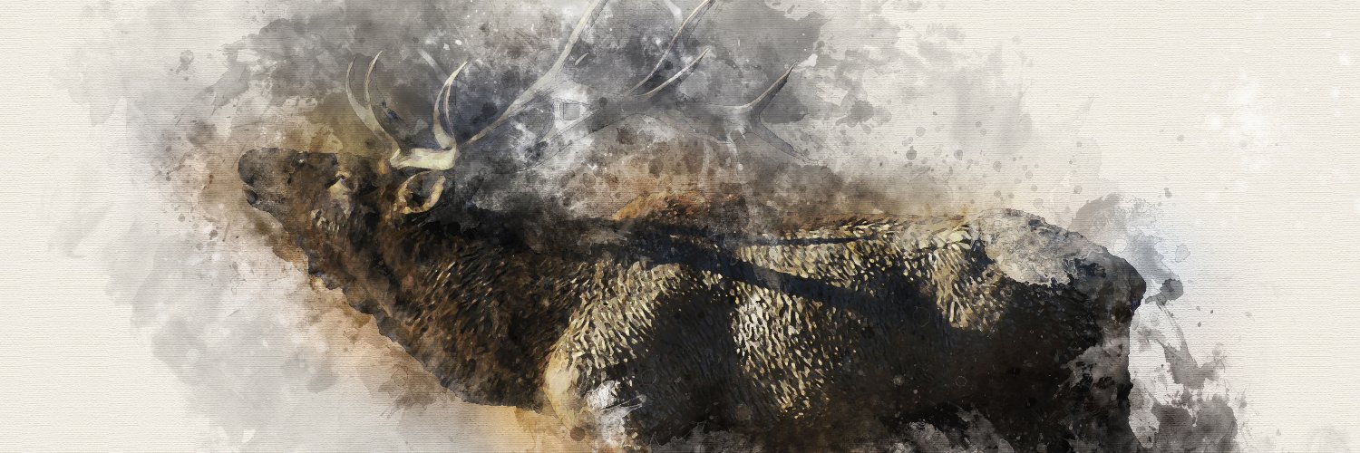 frolicswith's profile banner image