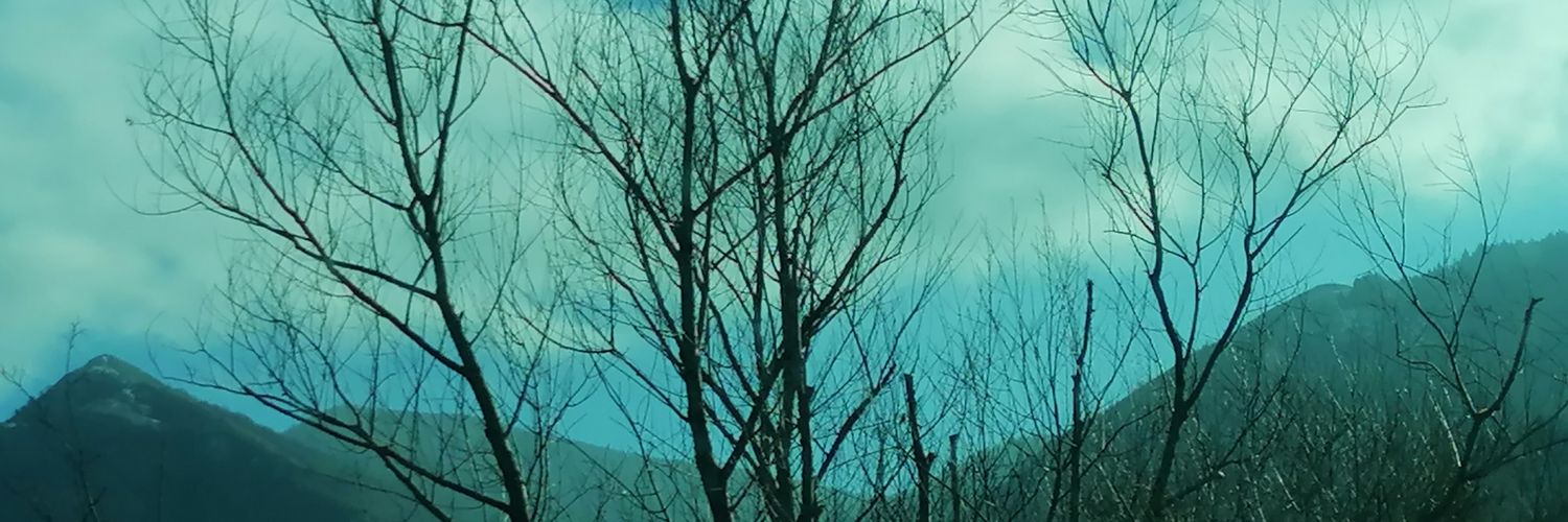 MariaCa35970028's profile banner image