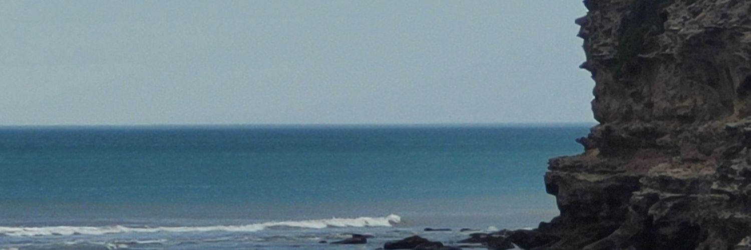 dussbutt's profile banner image