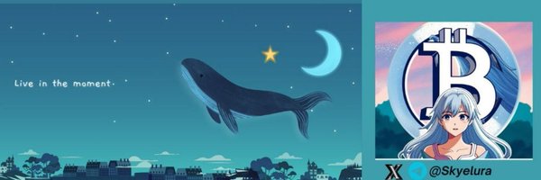 Skyeluraa Profile Banner
