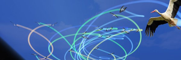 Mate_Nagy_ Profile Banner