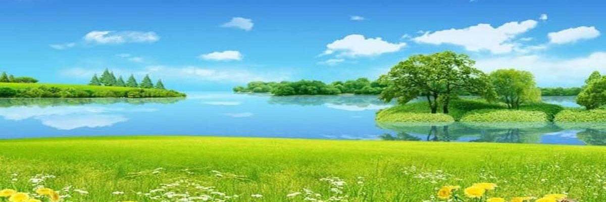 kelly is a fag banner