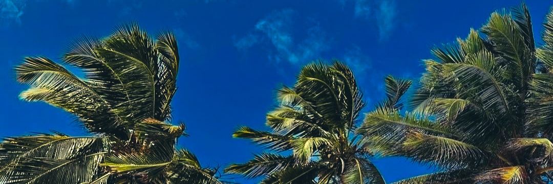 ArnaldoAbreu's profile banner image