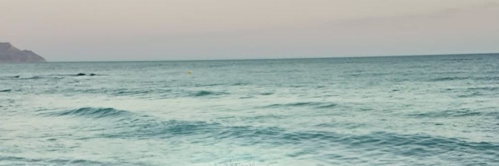 lapetitepuce1's profile banner image