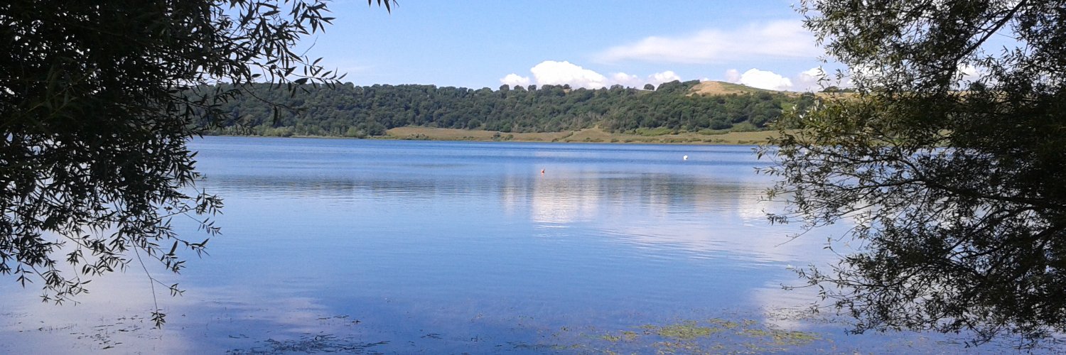 Magda Mustile banner