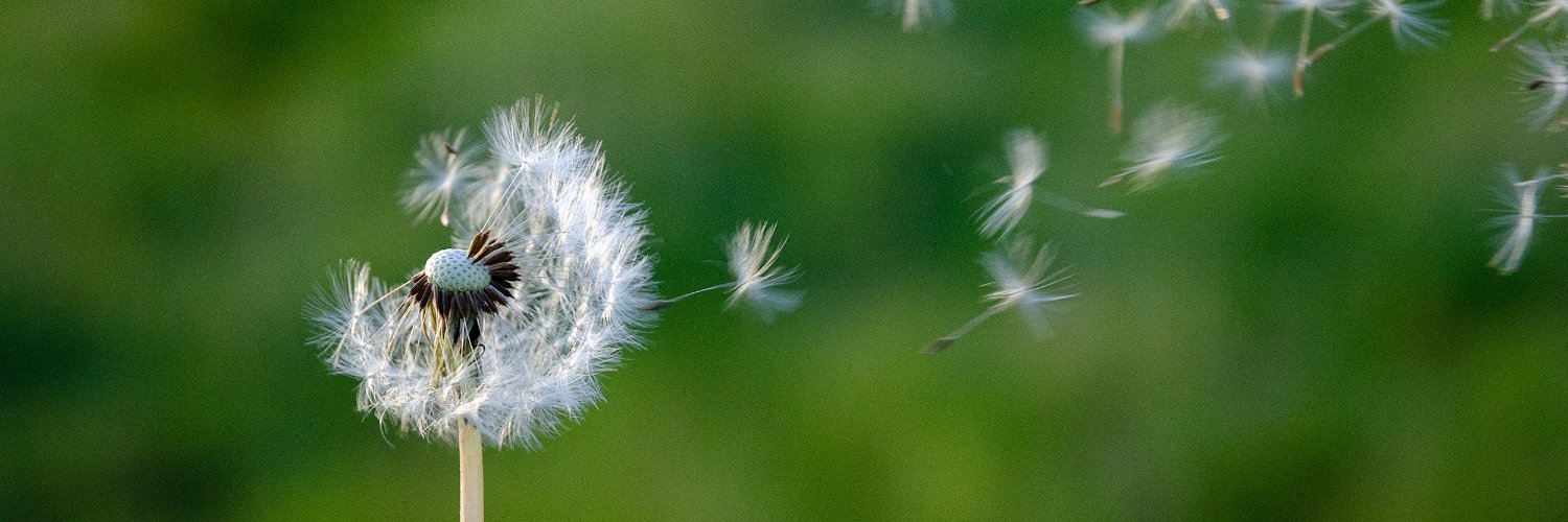 NorthStarTransition banner