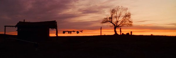 albeertobrr Profile Banner