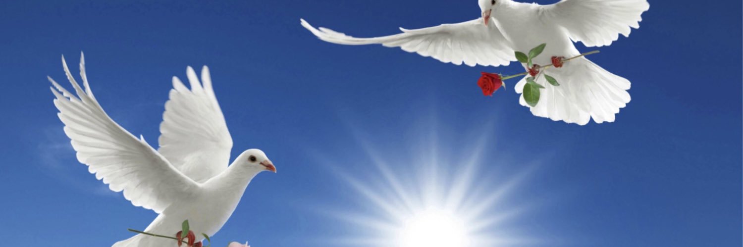 d_qisy's profile banner image