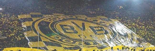 ℳ.🐝 banner