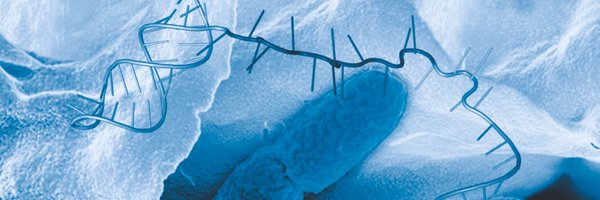 JoergLab Profile Banner