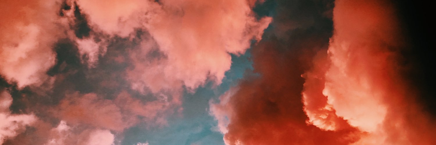 palomalbahaca's profile banner image