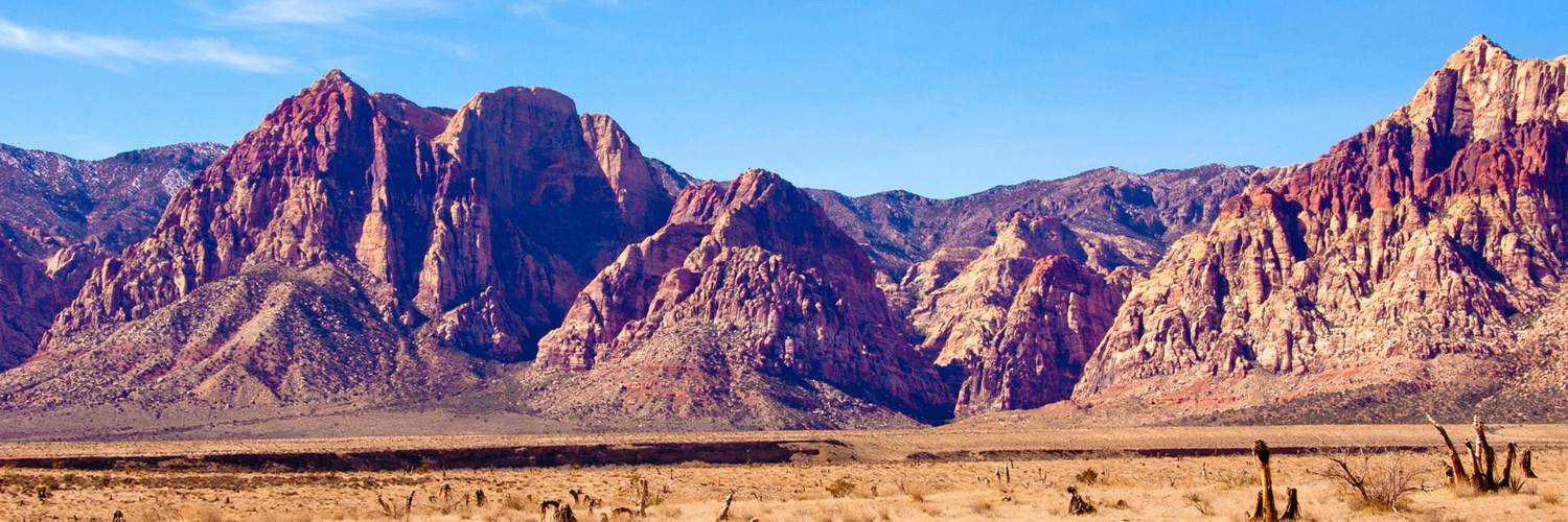 Imran Anwar, MD banner