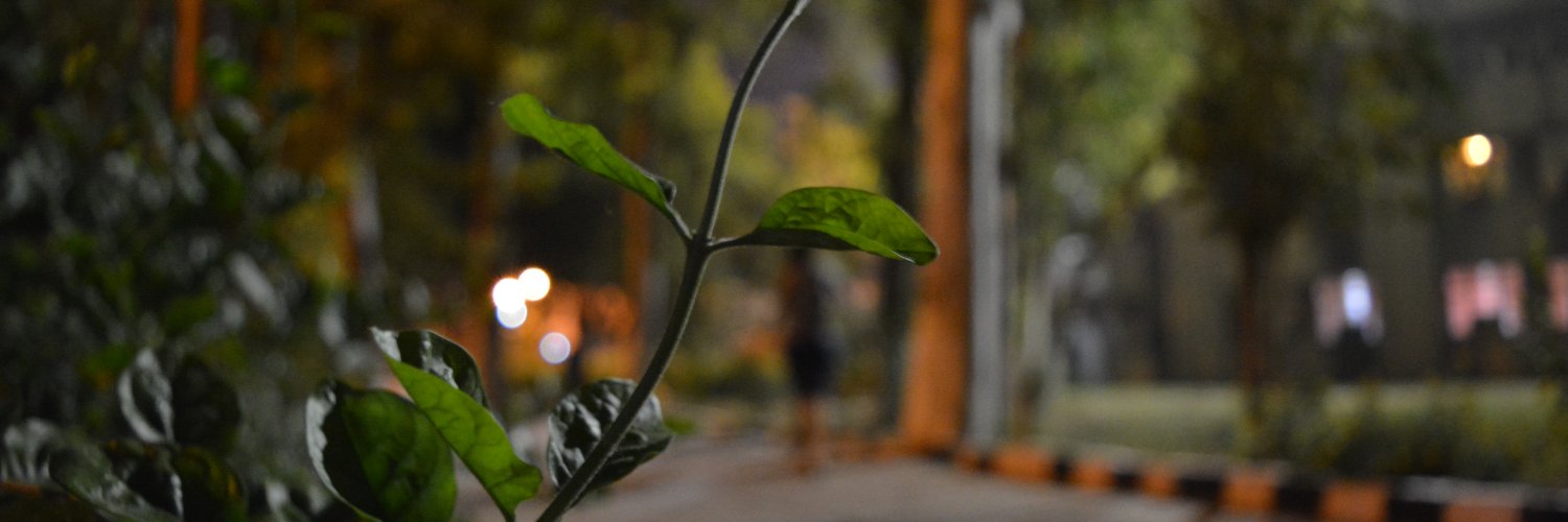 stutisagar's profile banner image