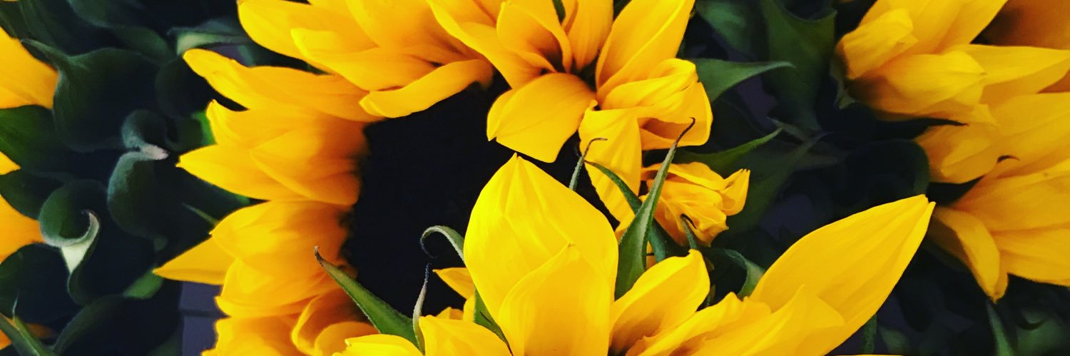 kimara31's profile banner image