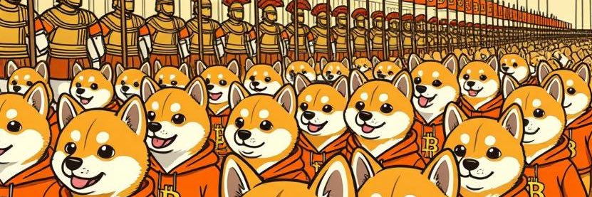 captcarp banner