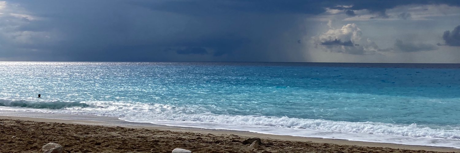 Lisa Whanstall banner