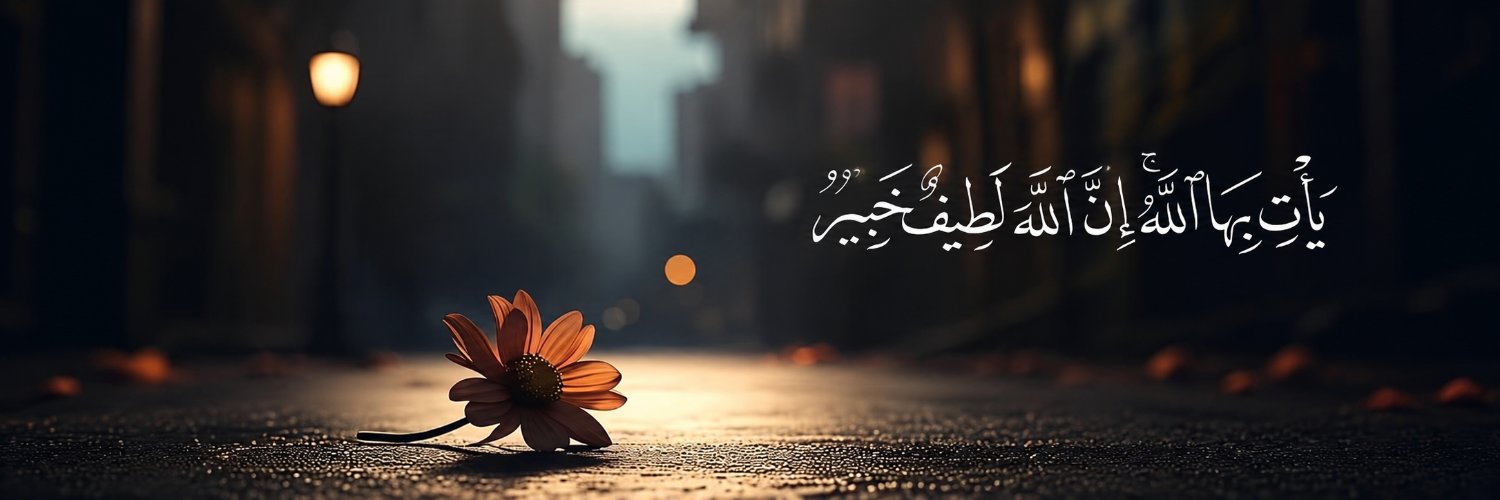 ali1nasib's profile banner image