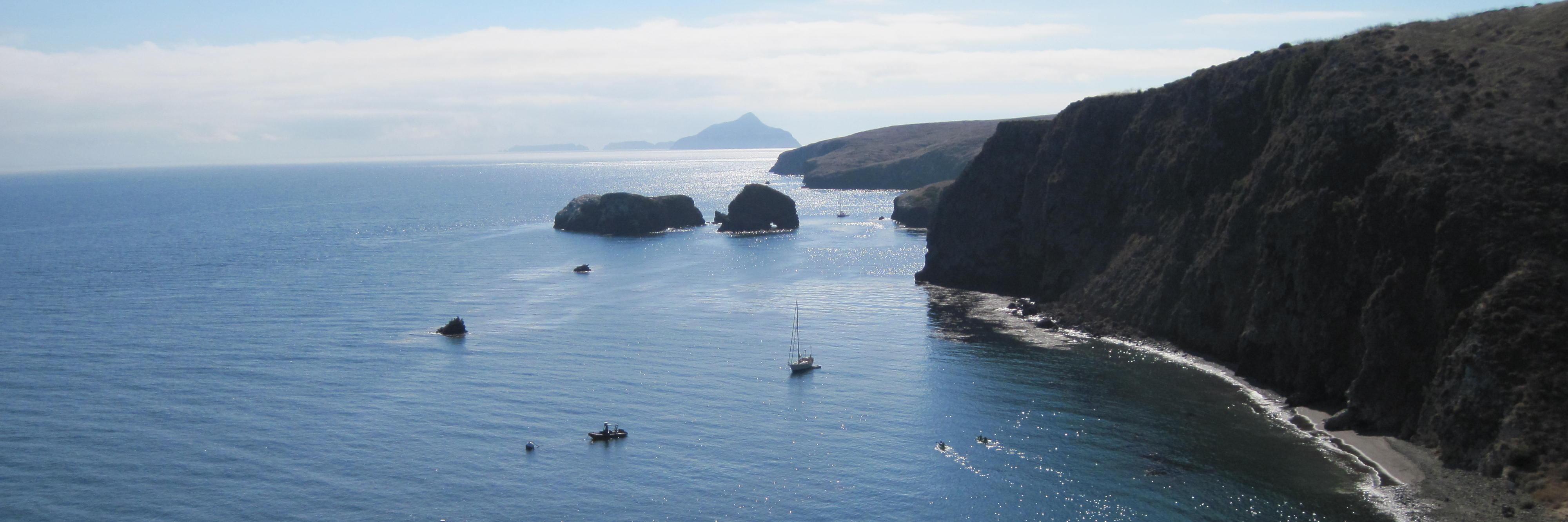 Suzan Michele Powers banner