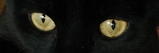 ar0oa_'s profile banner image