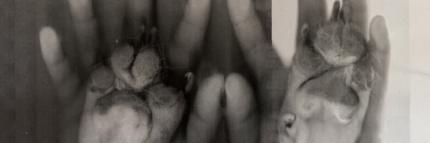 NicholasJoseph_'s profile banner image