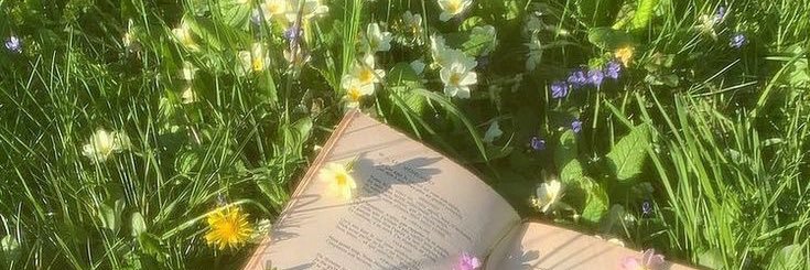 🍓ﾒ𝟶ﾒ𝟶 banner