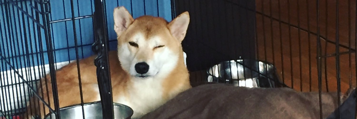 rahcelscorner's profile banner image