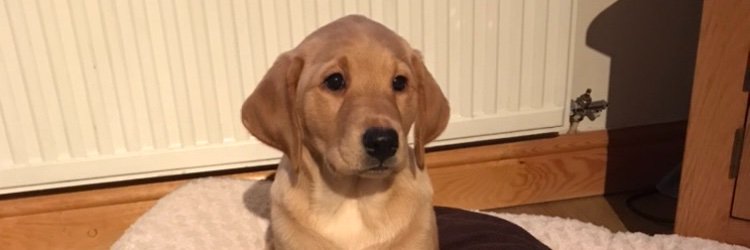 kerrylmatt's profile banner image