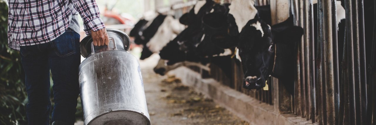 Comisión Ejecutiva Bovinos Leche banner