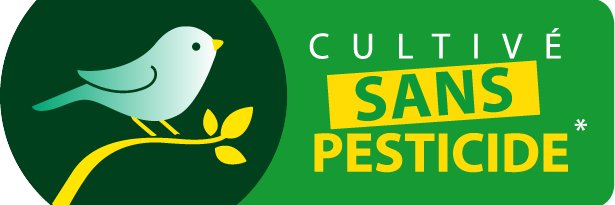Âtötö le beste banner