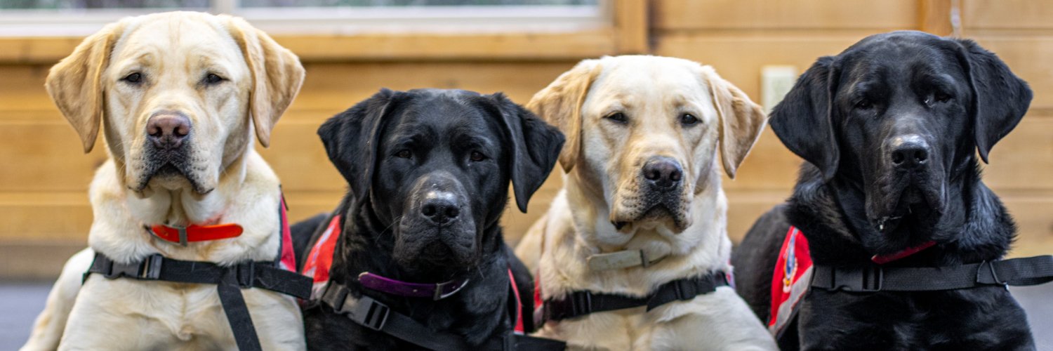 Assistance Dogs International's banner