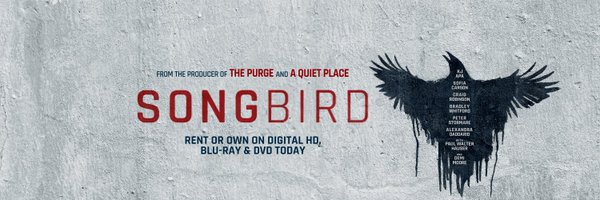 Songbird Profile Banner