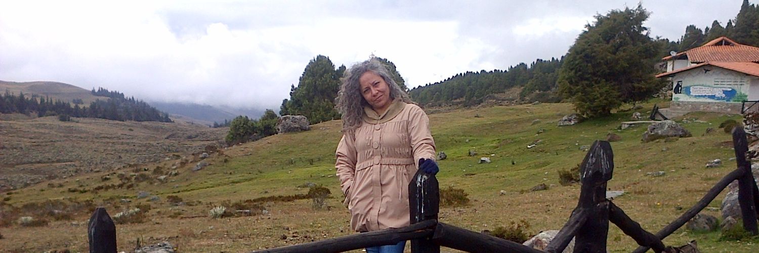MSc.LeeidaValero banner
