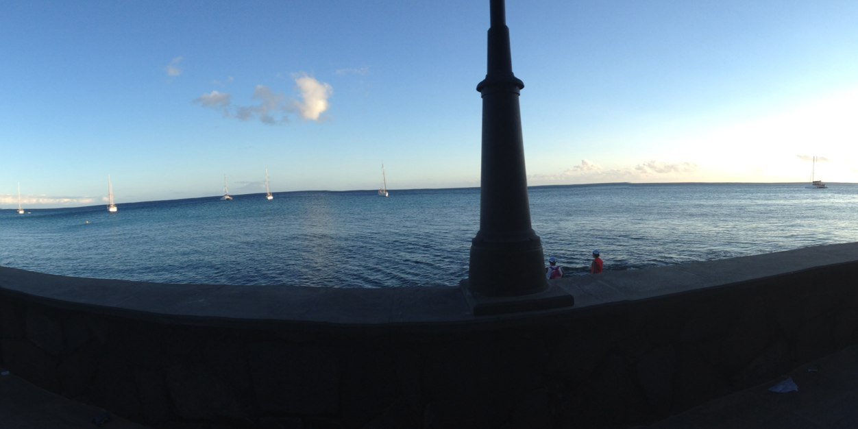 MichelleFCooper's profile banner image