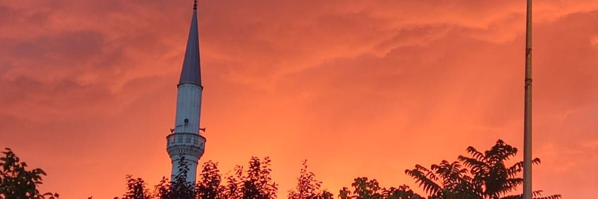 swozy_31 banner
