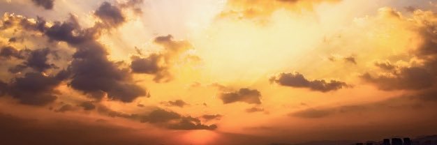 ceciliarc95's profile banner image