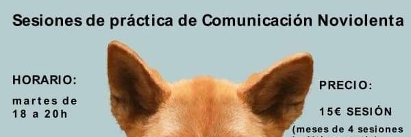 DavidDasaroTi's profile banner image