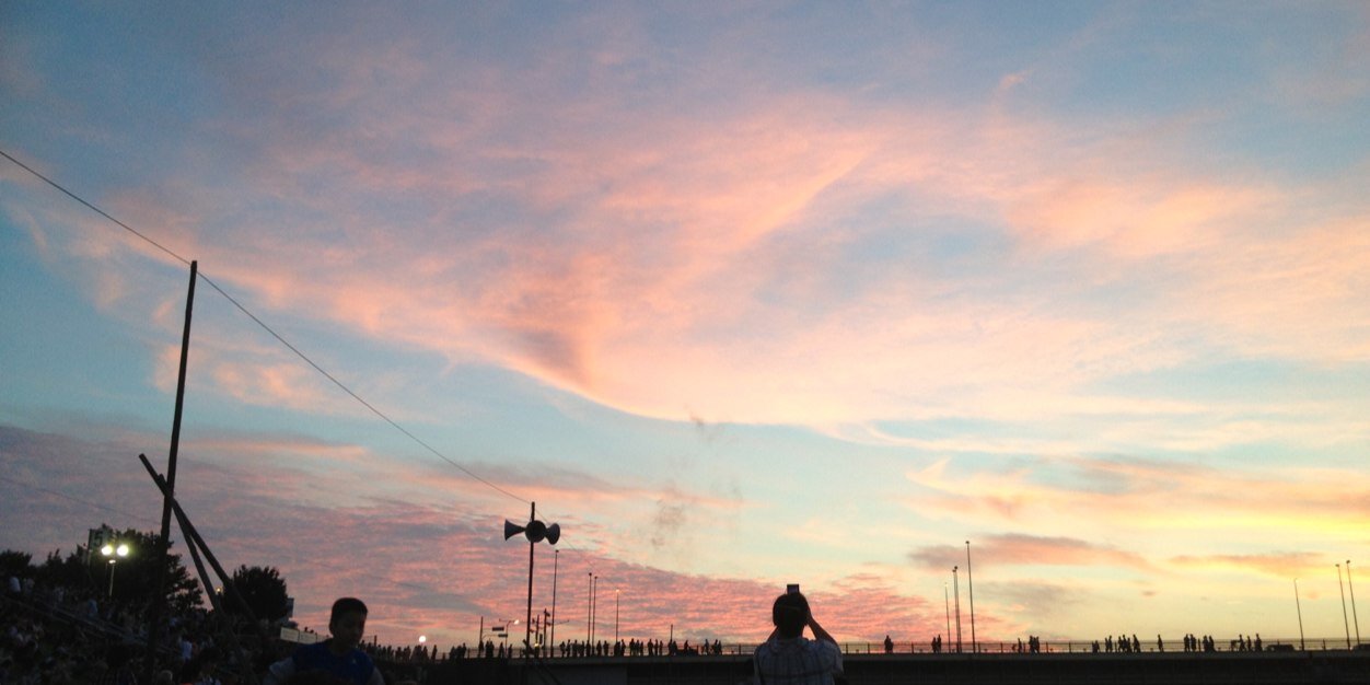 猫まっしぐら banner