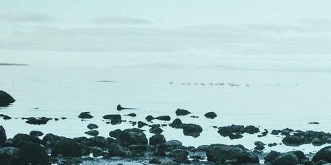 staerek's profile banner image