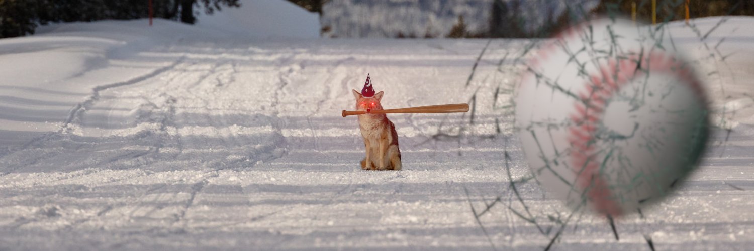 Halexandrey Walton banner