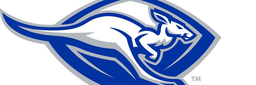 Weatherford Basketball banner